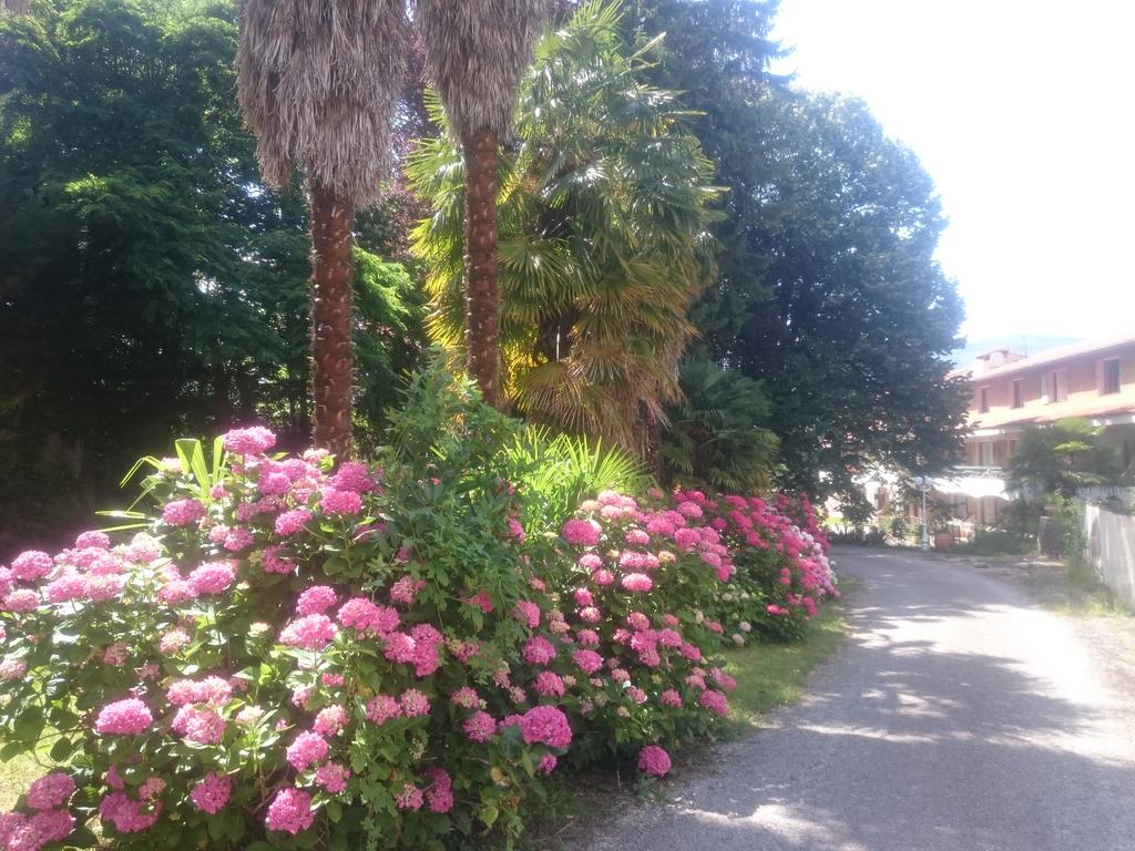 Hotel Le Mas Fleuri Vernet-les-Bains Exteriér fotografie