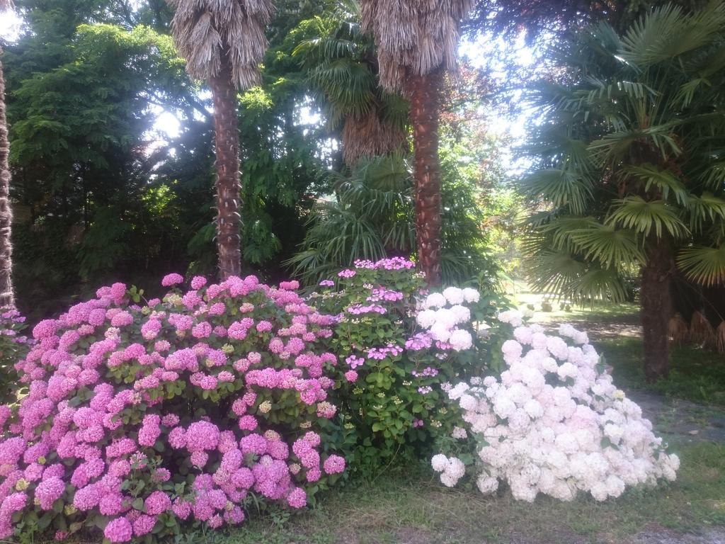 Hotel Le Mas Fleuri Vernet-les-Bains Exteriér fotografie